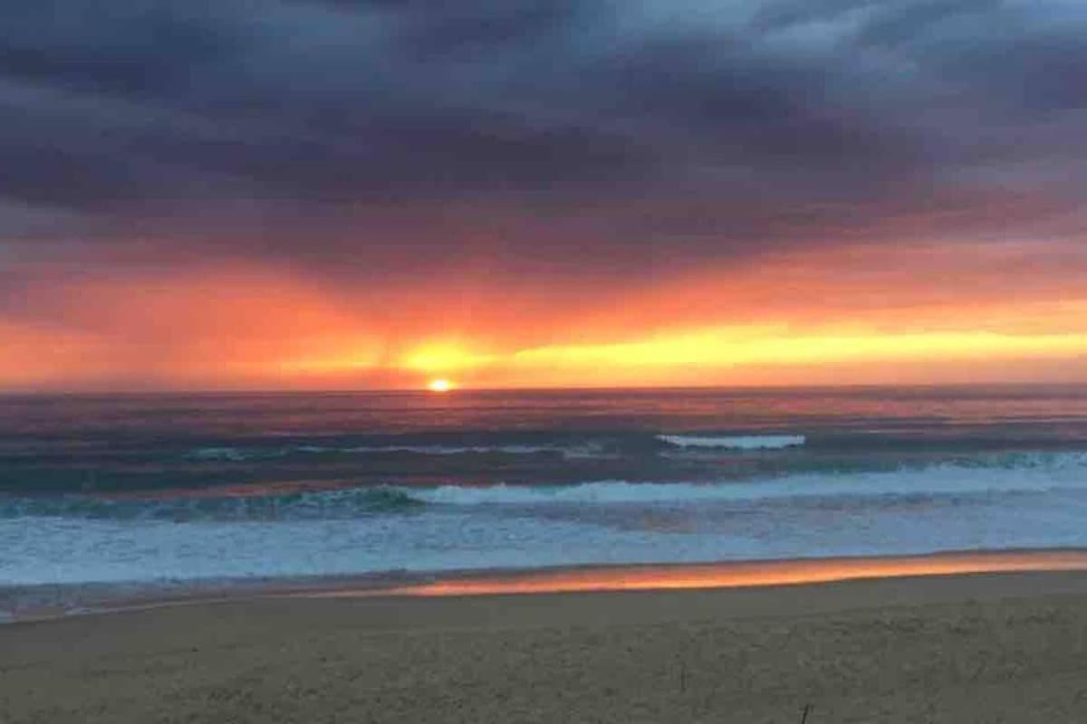 La Graviere, Cozy Studio Wifi & Parking 20M Ocean Surf Plage Soorts-Hossegor Kültér fotó