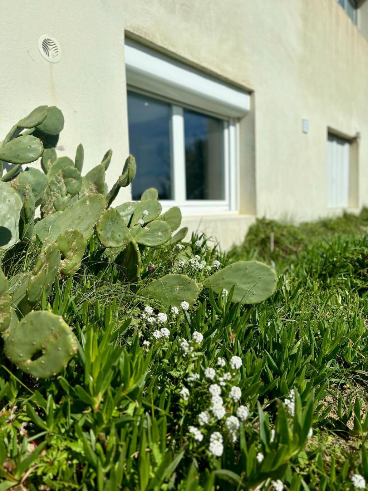 La Graviere, Cozy Studio Wifi & Parking 20M Ocean Surf Plage Soorts-Hossegor Kültér fotó